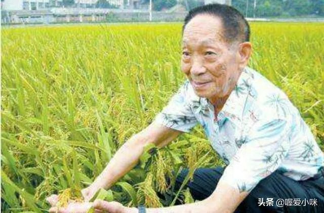 一个视频主播拿袁隆平照片问一些青年，十个有九个不认识你怎么看？
