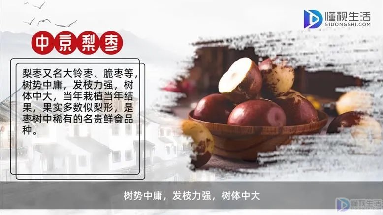 通辽特产有哪些