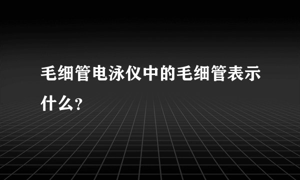 毛细管电泳仪中的毛细管表示什么？