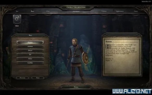 《永恒之柱》Beta版全种族及亚种图文一览 永恒之柱有哪些种族