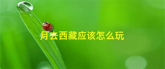 月去西藏应该怎么玩