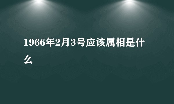 1966年2月3号应该属相是什么