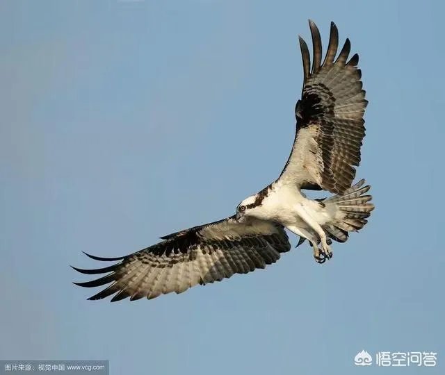 为什么说“人生实苦”？