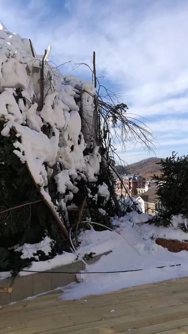 什么时候去哈尔滨比较好？