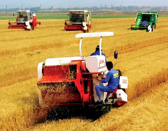 莱恩水稻收割机怎么样