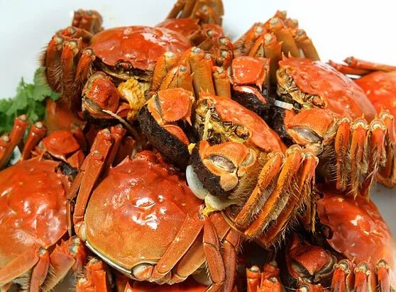 沙马蟹的营养价值及功效