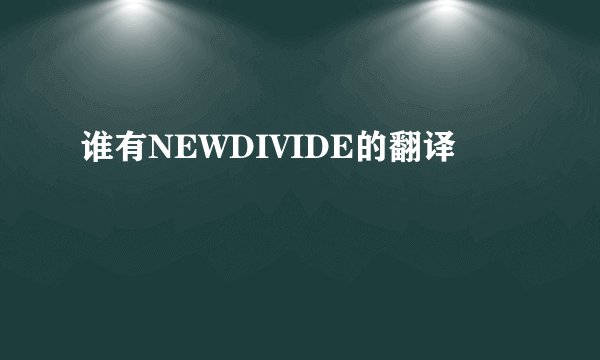 谁有NEWDIVIDE的翻译