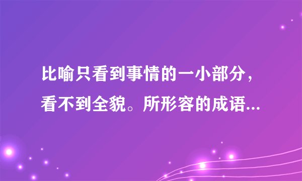 比喻只看到事情的一小部分，看不到全貌。所形容的成语是什么？