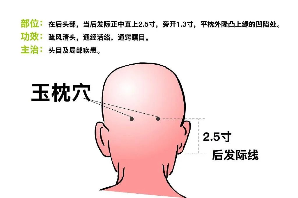 玉枕的准确位置图作用功效