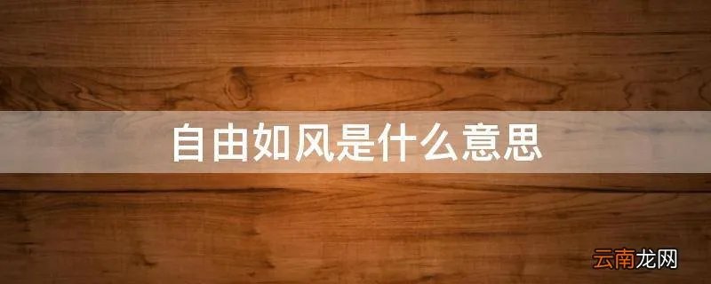 自由如风是什么意思