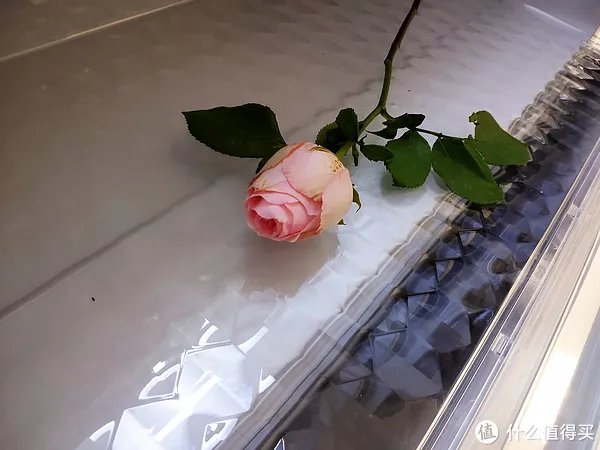 美菱冰箱怎么样