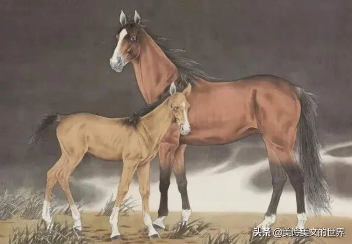 王恒屹个人资料哪里人 两个家庭都是学霸