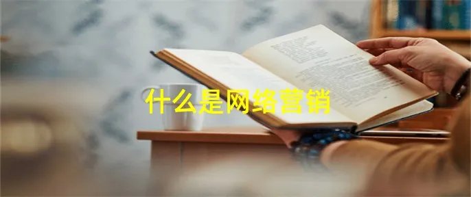 什么是网络营销