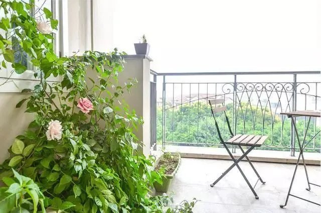 第一次看到这种风格的房子，真心漂亮！