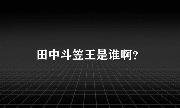 田中斗笠王是谁啊？