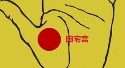 四种可以招财进宝的手相