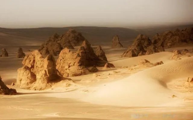 珠三角地区是指哪几个城市 分别包括哪9个城市