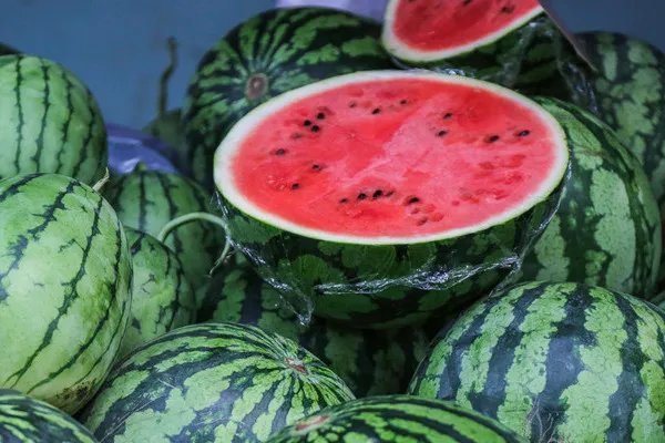 营口有什么特产 营口特产都有什么