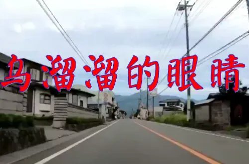 韩宝仪全部歌曲