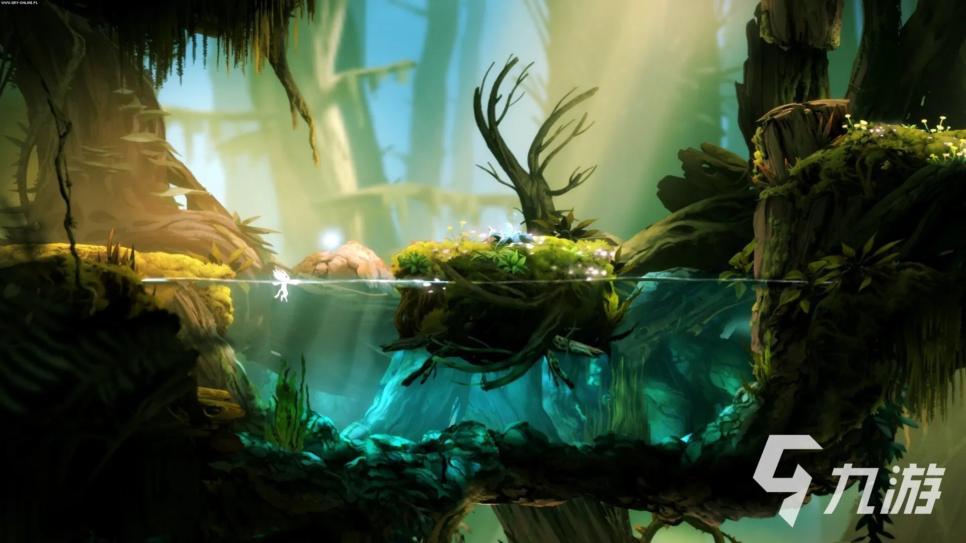 角色扮演游戏单机版合集2023 单机的角色扮演游戏推荐