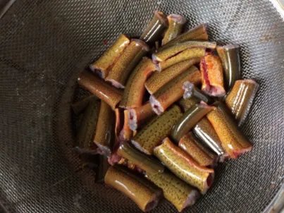 黄鳝汤的做法？
