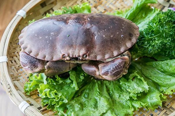 舟山有什么特产海鲜 舟山海鲜特产有哪些