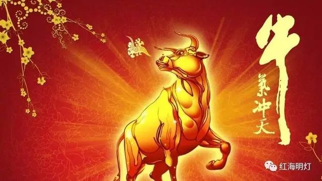 股票的成交量形态最常见的有哪些？