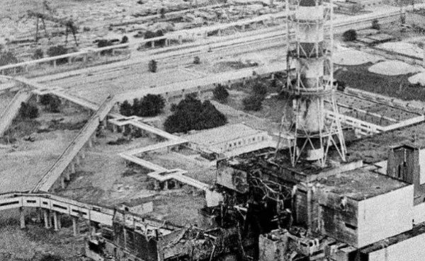 切尔诺贝利变异巨鼠真的存在吗？是否还存在其他变异生物？