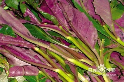 南昆山旅游攻略