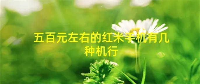 五百元左右的红米手机有几种机行