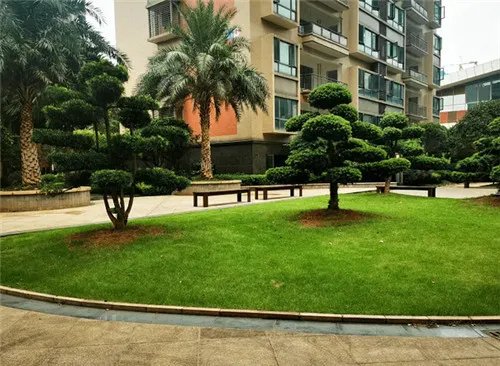 蓝色钱江小区是豪宅吗