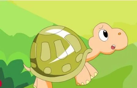 小乌龟  爬山看图写话200字