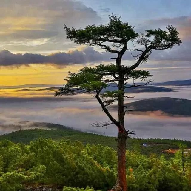 大兴安岭,这么美,你会去看看吗?