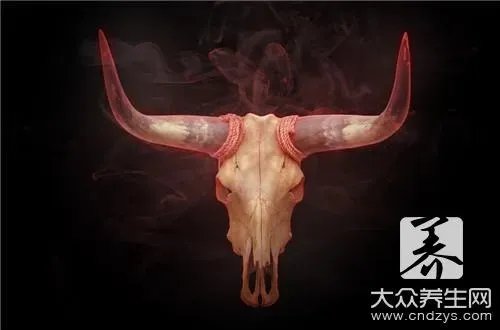 牛脑做怎么做好吃？方法有这些！