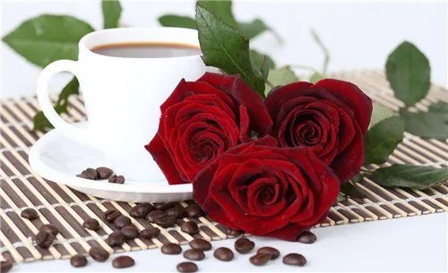 结婚20周年送什么花 结婚纪念日送什么花合适