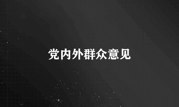 党内外群众意见