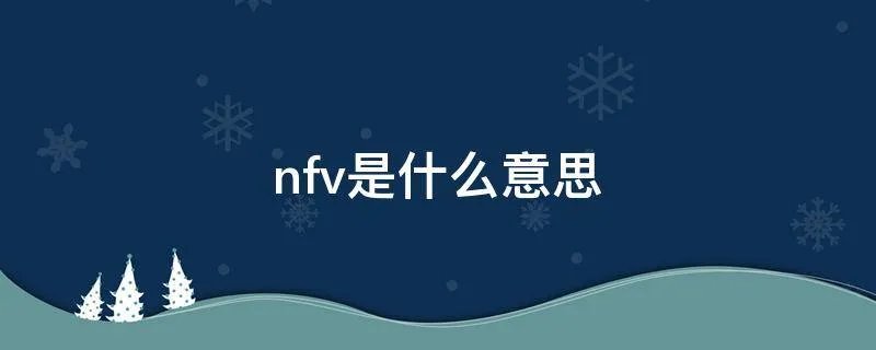 nfv是什么意思