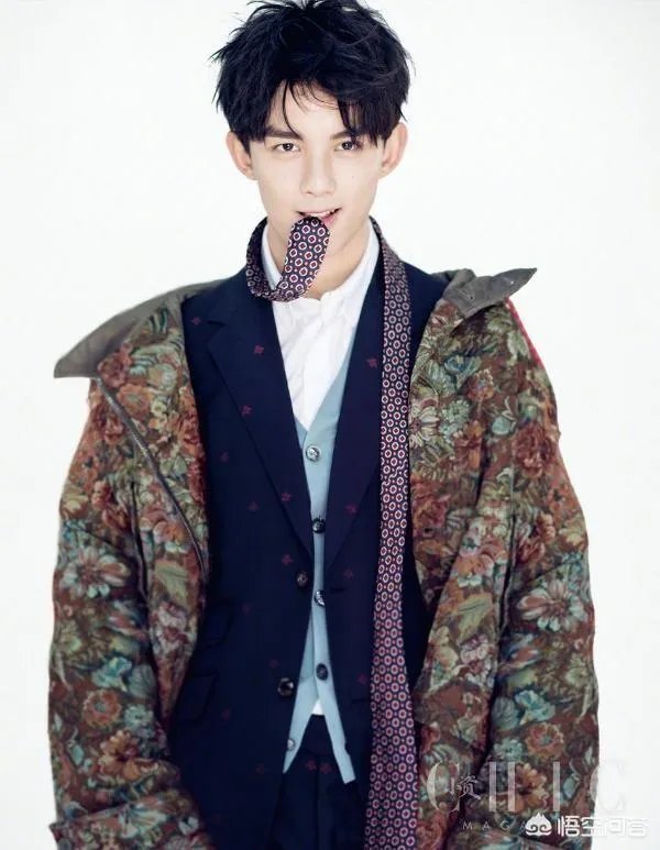 刘亦菲版的《神雕侠侣》，谁最合适演少年杨过和后来的杨过？