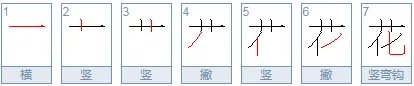 花的笔顺怎么写的