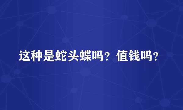 这种是蛇头蝶吗？值钱吗？