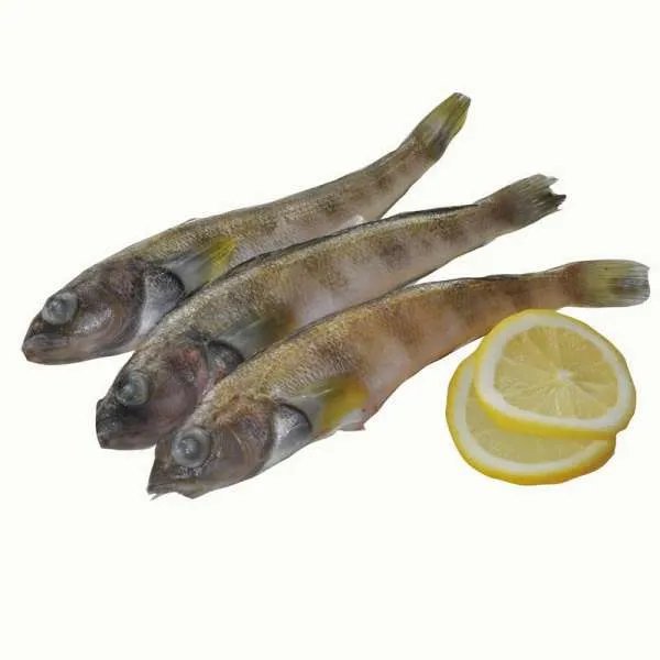 武汉人说的冰鱼是什么鱼的图片