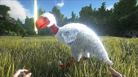 方舟生存进化骇鸟吃什么 骇鸟怎么驯服