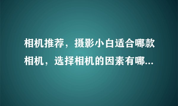 相机推荐，摄影小白适合哪款相机，选择相机的因素有哪些，高性价比的相机指南