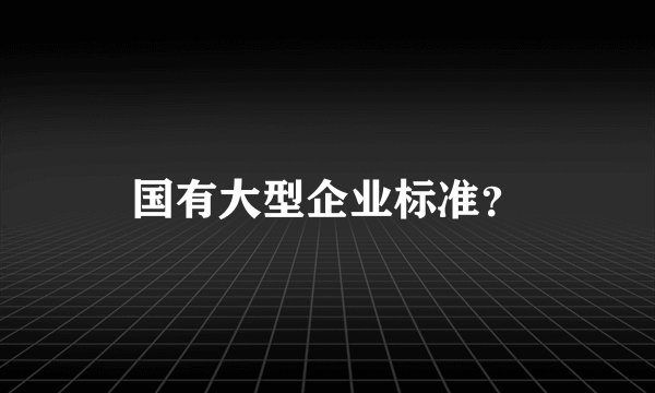 国有大型企业标准？