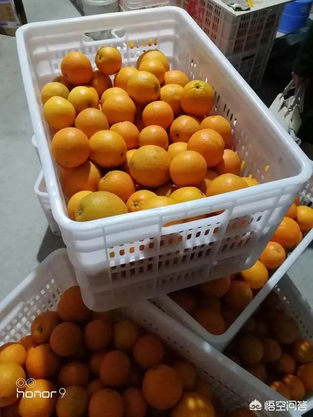 江西赣南脐橙和四川的