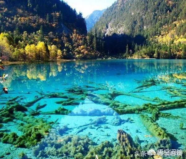 梁静茹的《宁夏》与宁夏有什么关系？